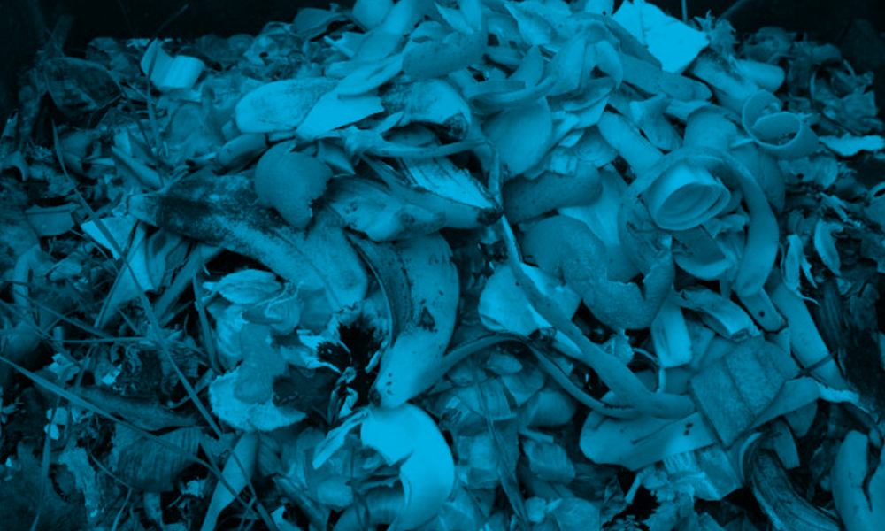 Puretech Bio-Waste